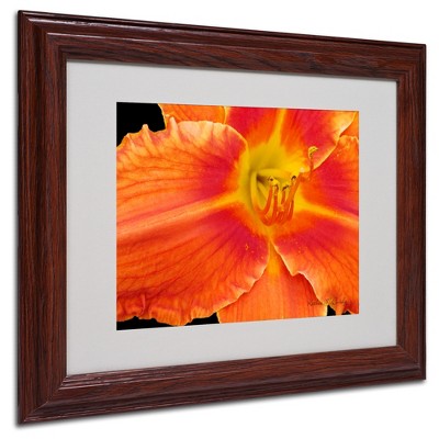 Trademark Fine Art - Kathie McCurdy 'Orange Day Lily' Matted Framed Art