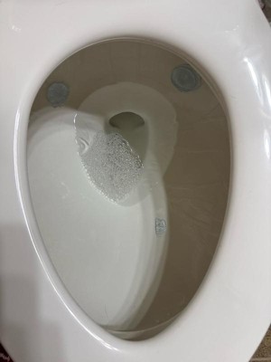 Guest review image 2 of 2, zoom in