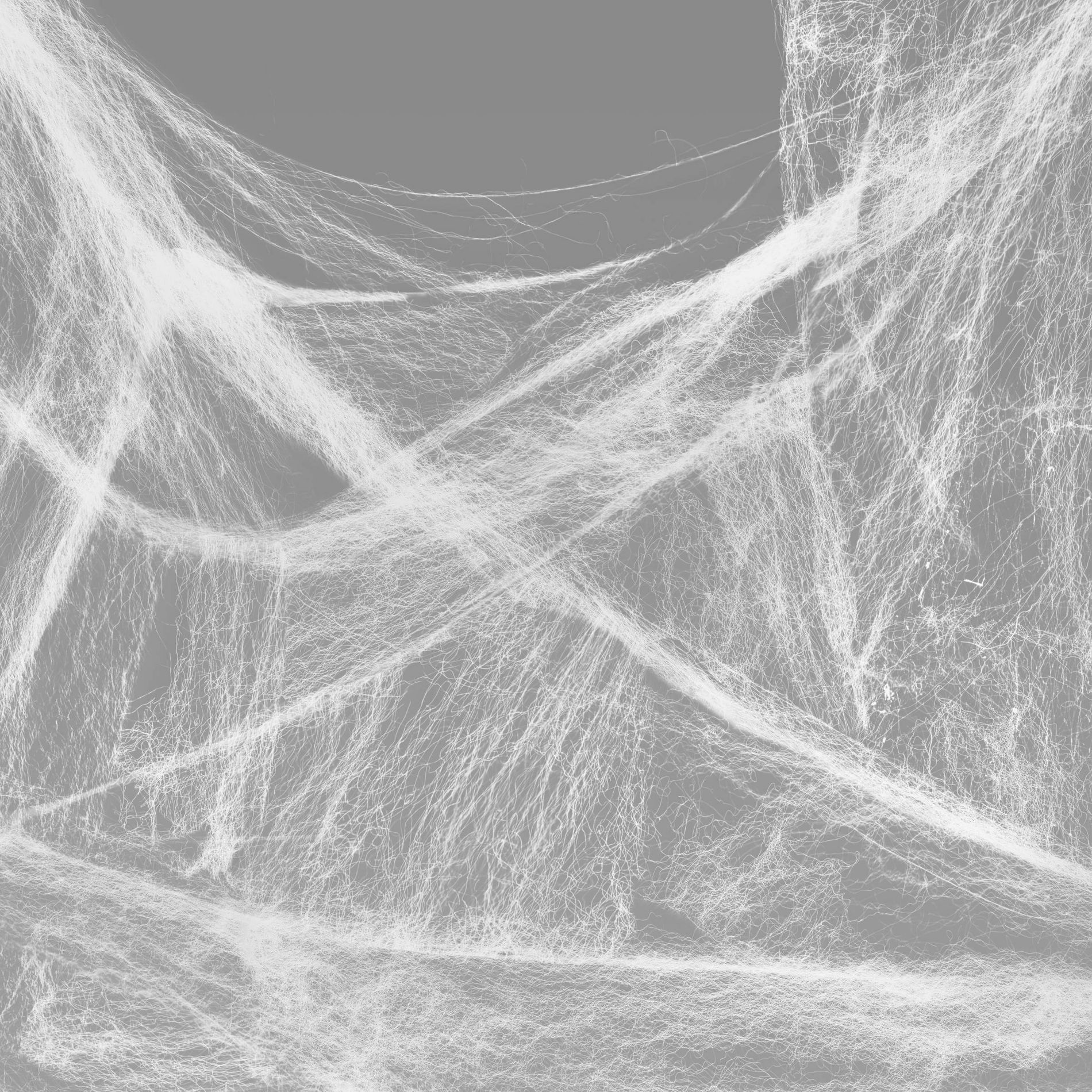 14' Stretchy Spiderweb Halloween Decorative Prop White - Hyde and EEK! Boutique™: Indoor Outdoor Decor