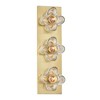 Mitzi Shea 3 - Light Vanity in  Aged Brass - 2 of 3