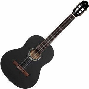 Ortega Guitars Student Series Full Size Nylon Classical Guitar - 1 of 4