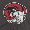 Men's Winston Salem State University Official Distressed Primary Logo T-Shirt - 2 of 4