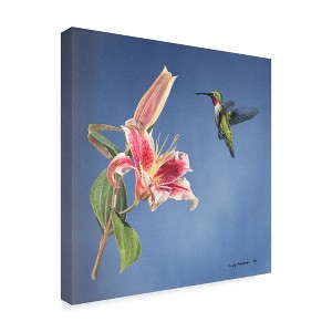 Trademark Fine Art -Rusty Frentner 'Hummingbird And Lily' Canvas Art - 1 of 3