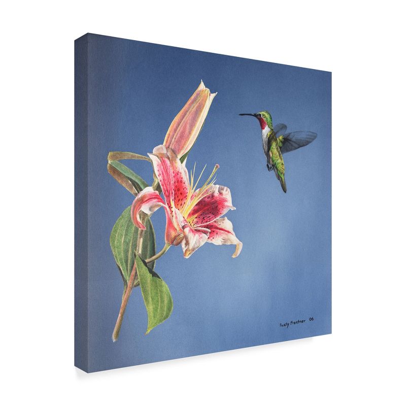 Trademark Fine Art -Rusty Frentner 'Hummingbird And Lily' Canvas Art, 1 of 4