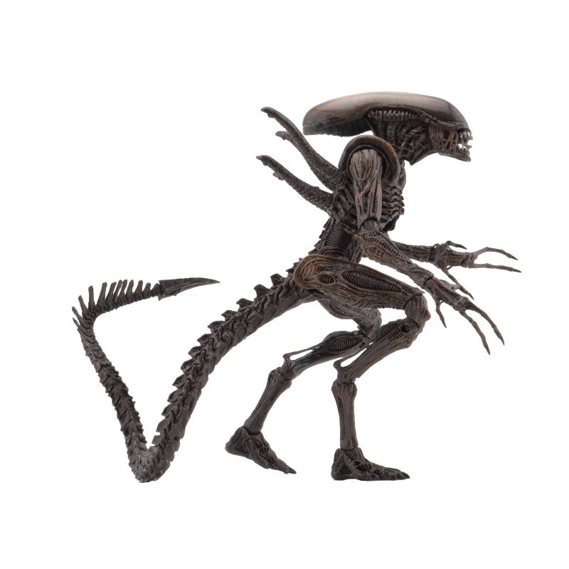 Alien Resurrection Xenomorph Warrior Series 14 7&#34; Action Figure, 2 of 5