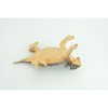 Collectible Wildlife Gifts | Horned Toad, Horny Toad, Horny Lizard, Museum Quality, Hand Painted, Rubber Reptile, Toy, Gift, 5 Inches. CH767 BB192 - 4 of 4