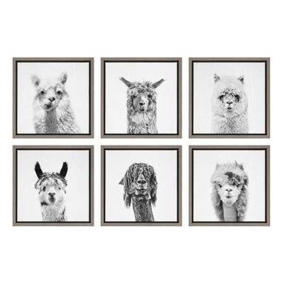 6pc 13" x 13" Sylvie Alpaca Portrait Framed Canvas Wall Art Set by Simon Te Gray - Kate and Laurel