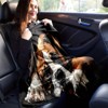 Rest Boxer Pattern Four Seasons Car Nap Blanket Flannel, Christmas Gift. - 4 of 4