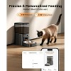Automatic Cat Feeder with WiFi App Control, Programmable Portion Control for Dry Food - 3 of 4