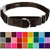 Country Brook Petz Heavyduty Nylon Martingale with Premium Buckle - 3 of 4