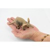 Collectible Wildlife Gifts | Aardvark, Museum Quality, Hand Painted, Rubber Animal, Realistic Toy Figure, Model, Gift,       5"     CH307 BB129 - 2 of 4