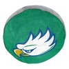 NCAA Florida Gulf Coast Eagles 15" Circular Cloud Pillow - 3 of 4