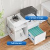 Mlezan 2-Drawer File Cabinet: Mobile on Wheels, Metal Storage with Shelf. Ideal for Printer, Letter, or A4 Files in Home or Office. - 4 of 4