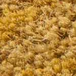 mustard, rust, metallic gold, yellow, beige