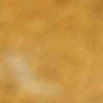 mustard, rust, dark red