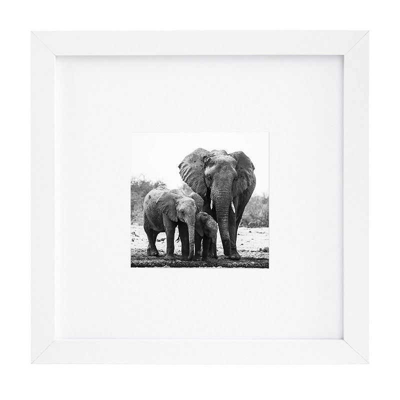 Americanflat Picture Frame with tempered shatter-resistant glass - Available in a variety of sizes and styles, 1 of 6