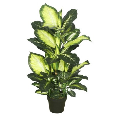 Vickerman 40" Artificial Green and White Dieffenbachia.