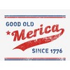 Americana Good Old 'Merica Since 1776 Adult Long Sleeve Hoodie - 2 of 2