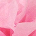 hot pink/ pink / hot pink polka dots