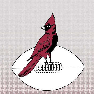 chicago cardinals