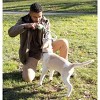 Pet Life Pull Away All Natural Jute Rope and Tennis Ball Dog Toy - 2 of 2