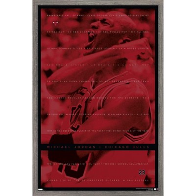 Trends International Michael Jordan - Achievements Framed Wall Poster Prints