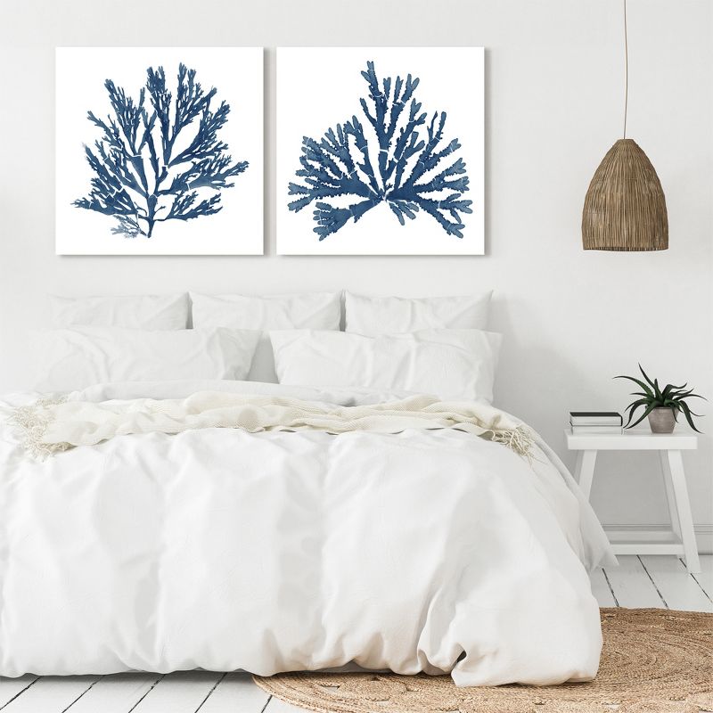 Americanflat Botanical Minimalist (Set Of 2) Canvas Wall Art Set Pacific Sea Mosses Blue On White By Wild Apple Portfolio, 3 of 8