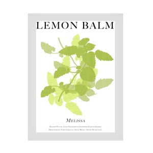 Trademark Fine Art - Cartissi   Lemon Balm Canvas Art - 1 of 4