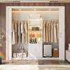 Besiost 25" - 103" Closet System with Cabinets, Wall-mounted Closet Organizer - 3 of 4