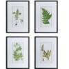 Set of 4 Botanical Black And White Fern Wall Art , Wall Decor for Living Room Dining Room Entryway, 20 x 28 - 2 of 4