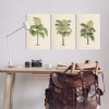 Stupell Industries Les Palmiers Botanical Trio, 13" x 19" - 2 of 4