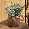 Sullivans 6" Brown Outdoor Snail Planter, Resin - 3 of 4