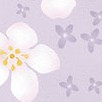 light lavender blossom
