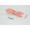 Collectible Wildlife Gifts | Squid Toy, Big Fin Reef Squid,  Ocean, Pink,  Realistic Rubber Figure, Model, Animal, Hand Painted  8"  CH099 BB87 - 3 of 4