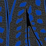 san jose earthquakes