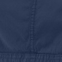 insignia blue