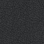 georgia bulldogs uga