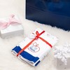 Pavilion Gift Company - Live. Love. Teach. - Tea Towel Gift Set (2 - 19.75" x 27.5") - Kitchen Textiles - 4 of 4