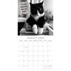 2026 Square Wall Calendar, Moggies, 16-Month Humor Theme with 180 Reminder Stickers (12x12 In) - 3 of 4