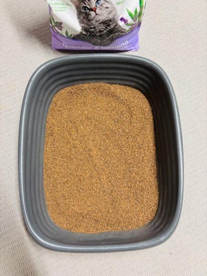 Guest review image 2 of 2, zoom in