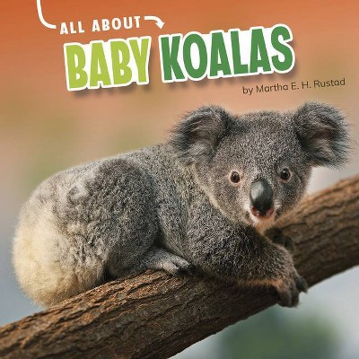 All about Baby Koalas - (Oh Baby!) by  Martha E H Rustad (Hardcover)