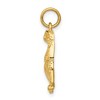Black Bow Jewelry 14k Yellow Gold Polished Cheetah Charm or Pendant - 2 of 4