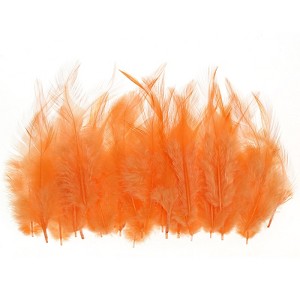 Unique Bargains DIY Dream Catcher Earrings Saddle Hackle Rooster Feathers 50 Pcs - 1 of 4