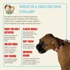 Country Brook Petz Deluxe Dog Collar - Critter Corner Collection - Made In The U.S.A. - 3 of 4