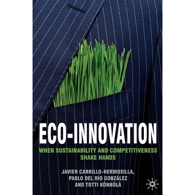 Eco-Innovation - by  Javier Carrillo-Hermosilla & P del Río González & Totti Könnölä & Pablo del Río González (Paperback)