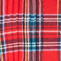 red fun plaid