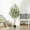 DR.Planzen 4-6FT Single-Trunk Artificial Olive Tree Fake Plants with Realistic Black Olives ¨C Indoor/Outdoor Plant for Home Decor - 2 of 4