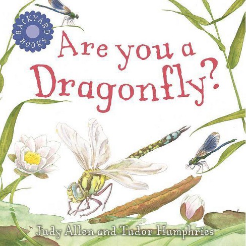 Are You A Dragonfly Backyard Books By Judy Allen Paperback Target