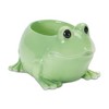Melrose Mini Frog Planter (Set of 2) - 2 of 3
