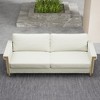 Racxily Velvet Sofa Upholstery with Ideal Mid-Century Modern Living Room Furniture - 3 of 4